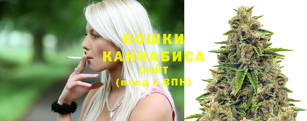 винт Осинники