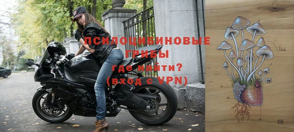 винт Осинники